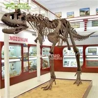 Carnotaurus skelet