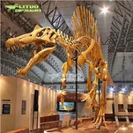 Spinosaurus skelet
