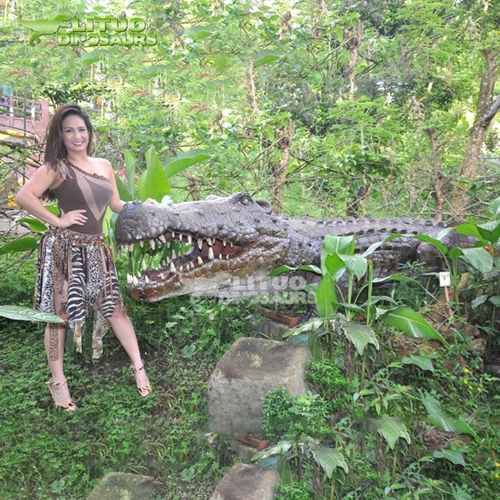 Life Size Animatronic Chameleon Animal Model price